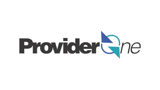 ProviderOne 1